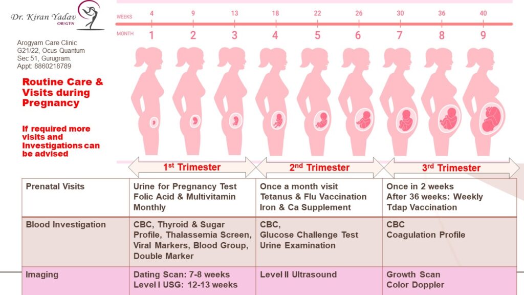 Routine Visits and Checkup during three trimesters of Pregnancy