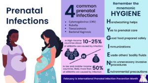 Read more about the article How to avoid prenatal infections? a problem-solving guide.