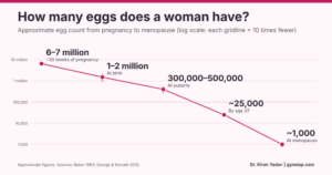 Read more about the article How Many Eggs Does a Woman Have? Egg Count, Egg Quality and What Can Actually Be Improved